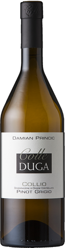 Pinot Grigio Collio DOC 2023